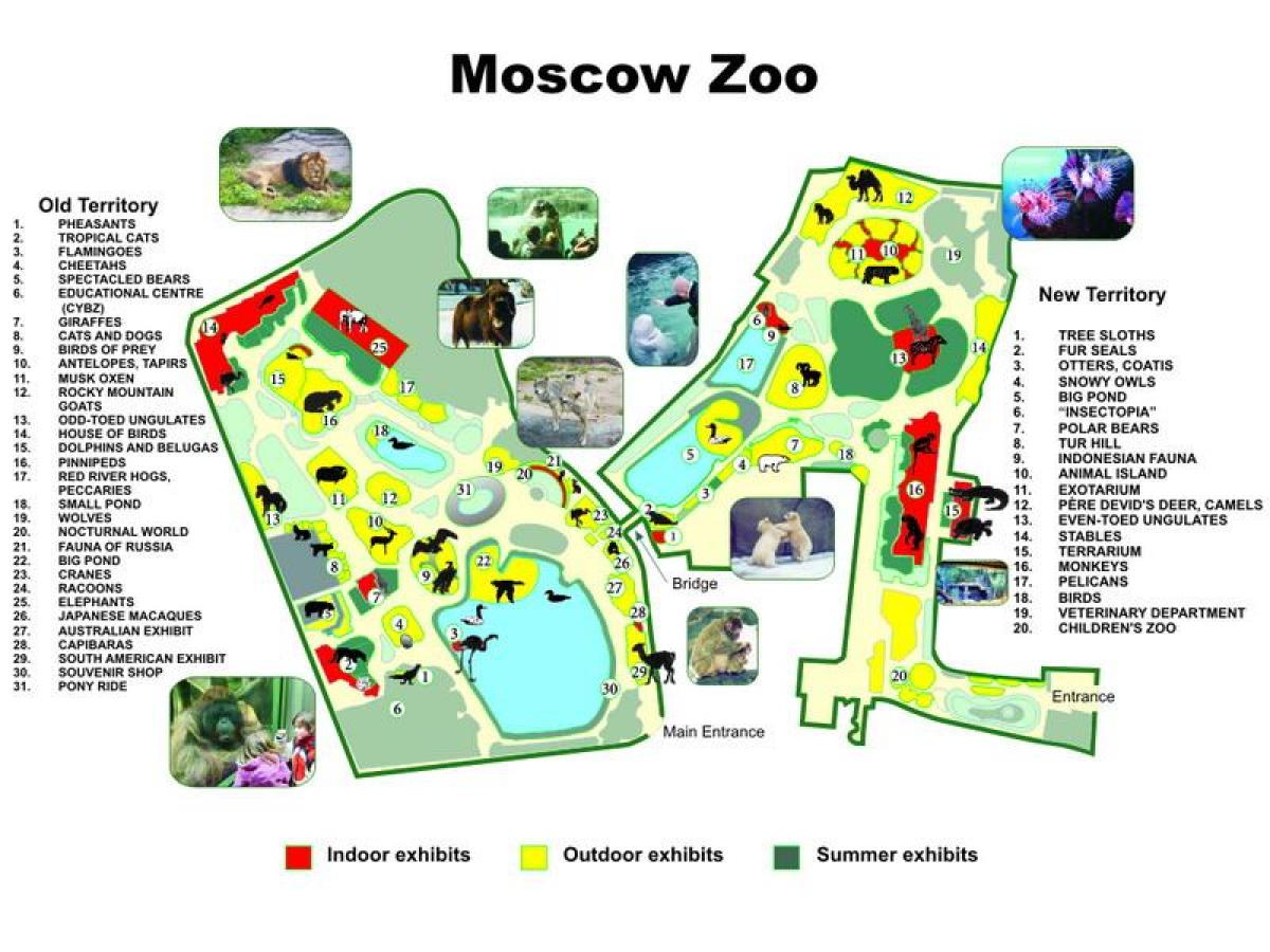 carte du zoo de Moscou